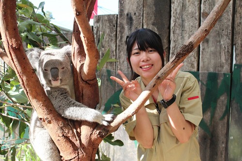 zoo-koalao2.jpg