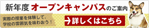新年度オープンキャンパス
