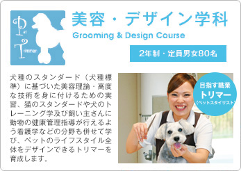 美容・デザイン学科 