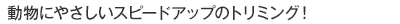 専任のトリマー（ペットスタイリスト）から学ぶ