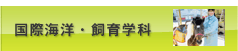 国際海洋・飼育学科