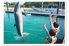 もとぶ元気村