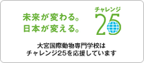 チャレンジ25