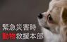 緊急災害時動物救援本部