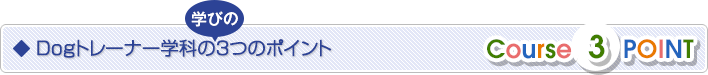 確実に身につける3ポイント