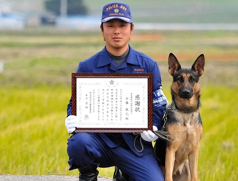 警察犬訓練所 シェパード子犬